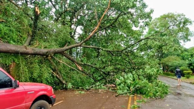 Temporal de lluvia y viento causó cortes de luz y daños materiales en Montecarlo