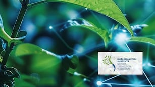 “Expo Sustenta”