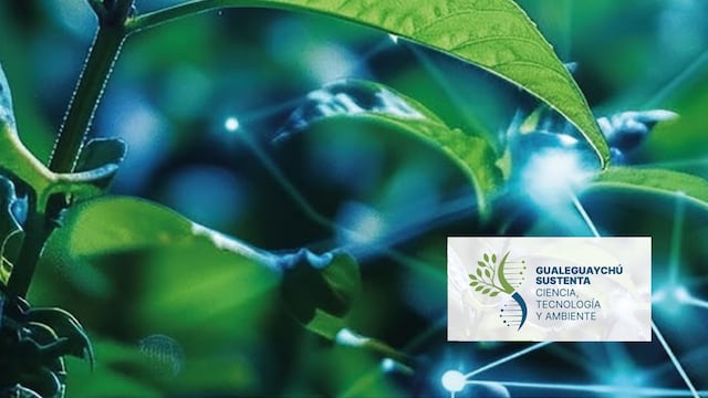 “Expo Sustenta”