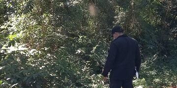 Un detenido y dos demorados por la sustracción de cítricos.