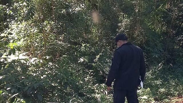 Un detenido y dos demorados por la sustracción de cítricos.