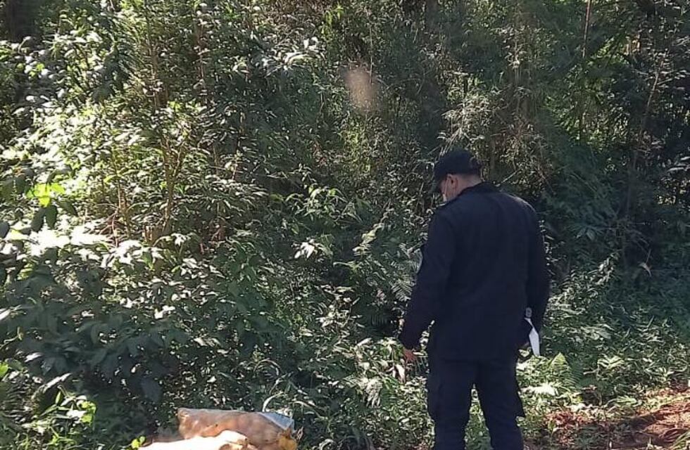 Un detenido y dos demorados por la sustracción de cítricos