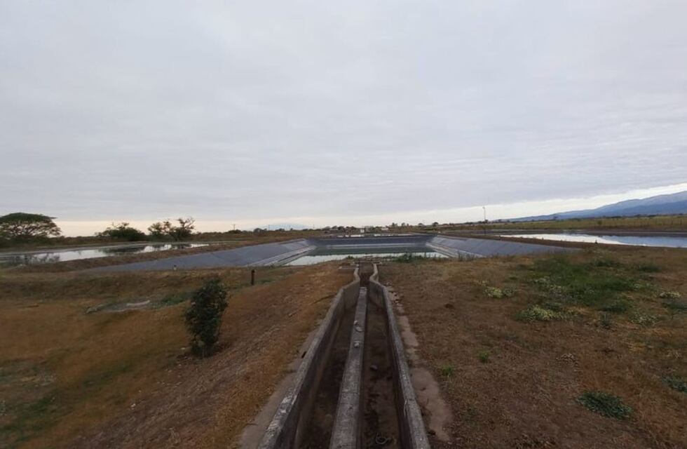 Encontraron un feto en una planta depuradora de líquidos cloacales de Salta