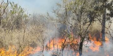 El fuego en Embalse, Córdoba.