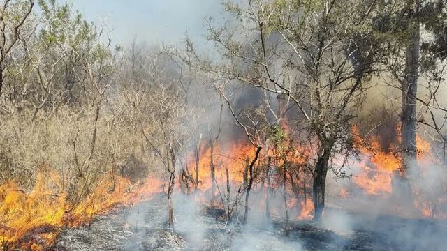 El fuego en Embalse, Córdoba.