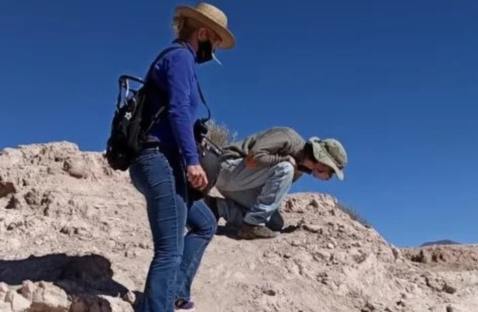 Un hallazgo fortuito abre una ventana a la prehistoria en Humahuaca