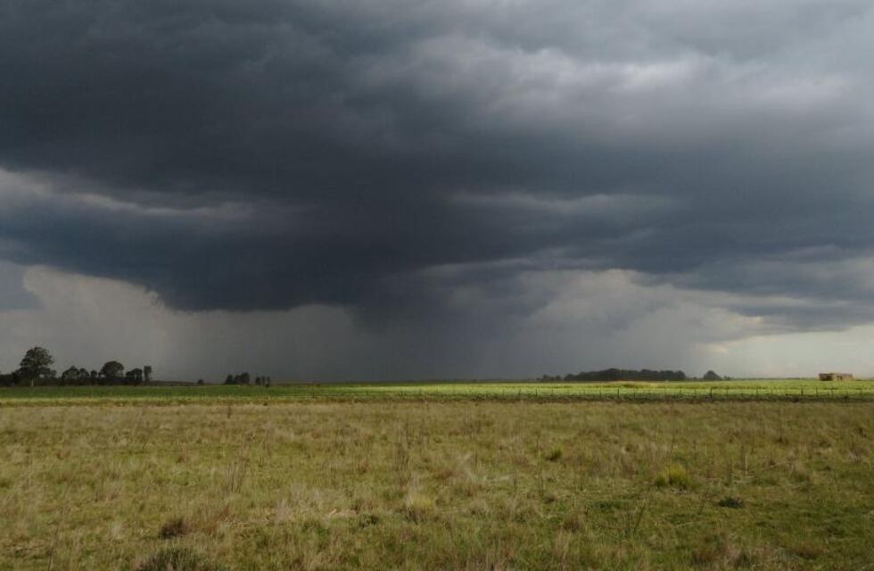Las lluvias sorprendieron al campo y mejoraron el escenario de cara a la siembra de trigo, aunque temen que no sea suficiente