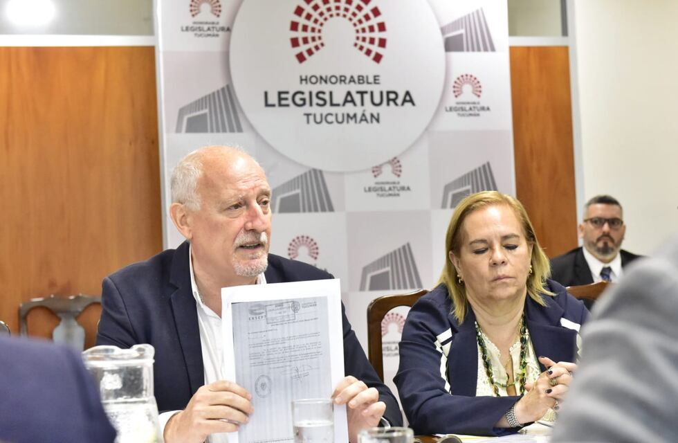Ascárate informó a la Legislatura sobre la venta de EDET