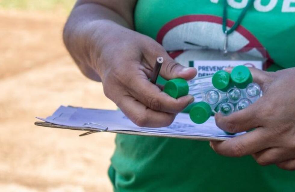 Se desarrolló un nuevo Operativo LIRAa en Eldorado