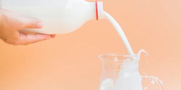 Leche pausterizada.