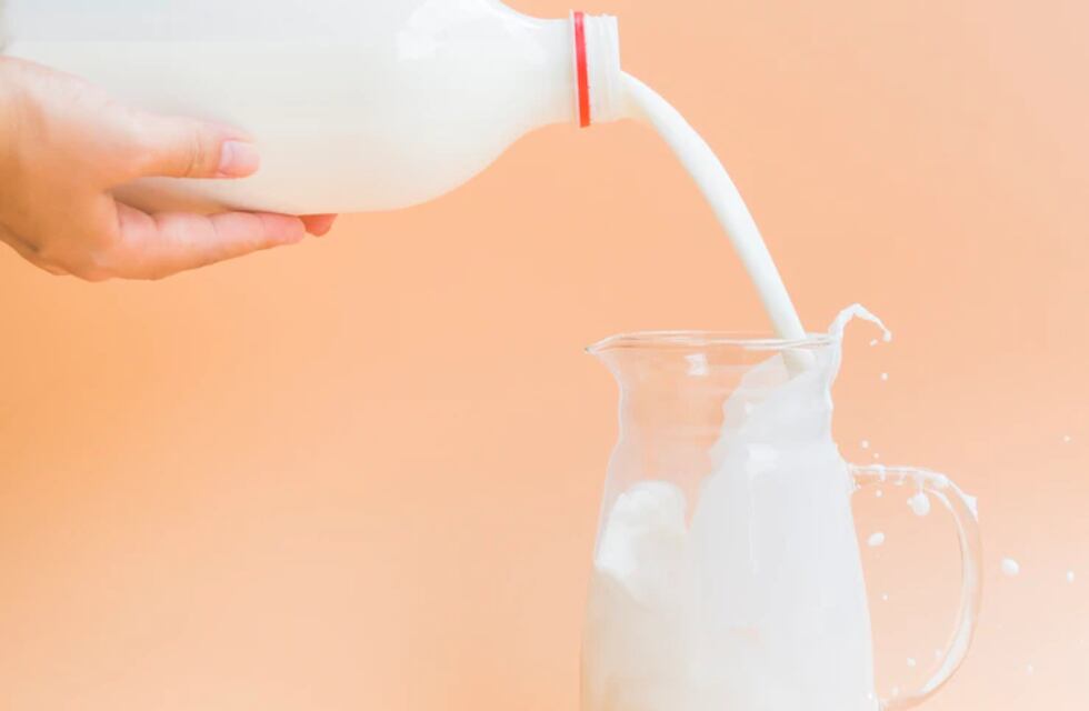 Polémica por la leche pausterizada: las críticas y los peligrosos mensajes que circulan en las redes sociales