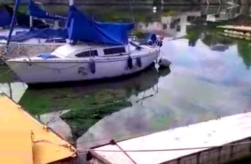 Video: “Gobernador, lo invito que por favor usted venga acá a navegar”