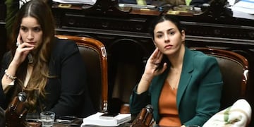 La diputada anunció su embarazo en redes sociales.