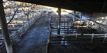 Paro agropecuario en el Mercado de Liniers por suspensión de exportaciones de carne.