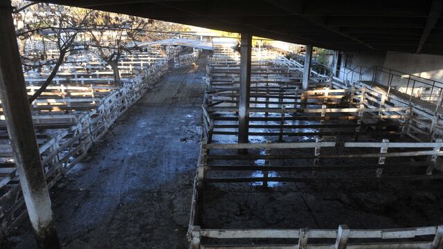 Paro agropecuario en el Mercado de Liniers por suspensión de exportaciones de carne.