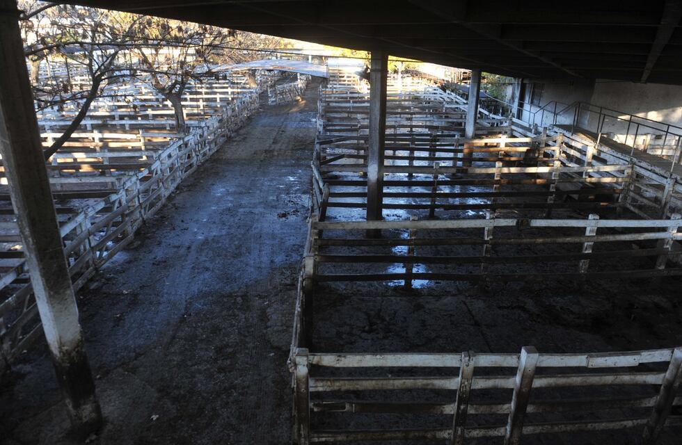 El campo inició el paro de nueve días en protesta por el cierre de las exportaciones de carne