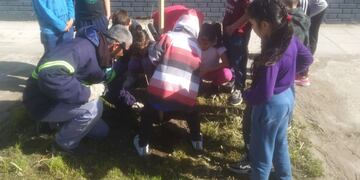 Plantarán 60 ejemplares por el "Día del Árbol"