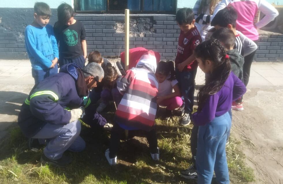 Plantarán 60 ejemplares por el “Día Nacional del Árbol”