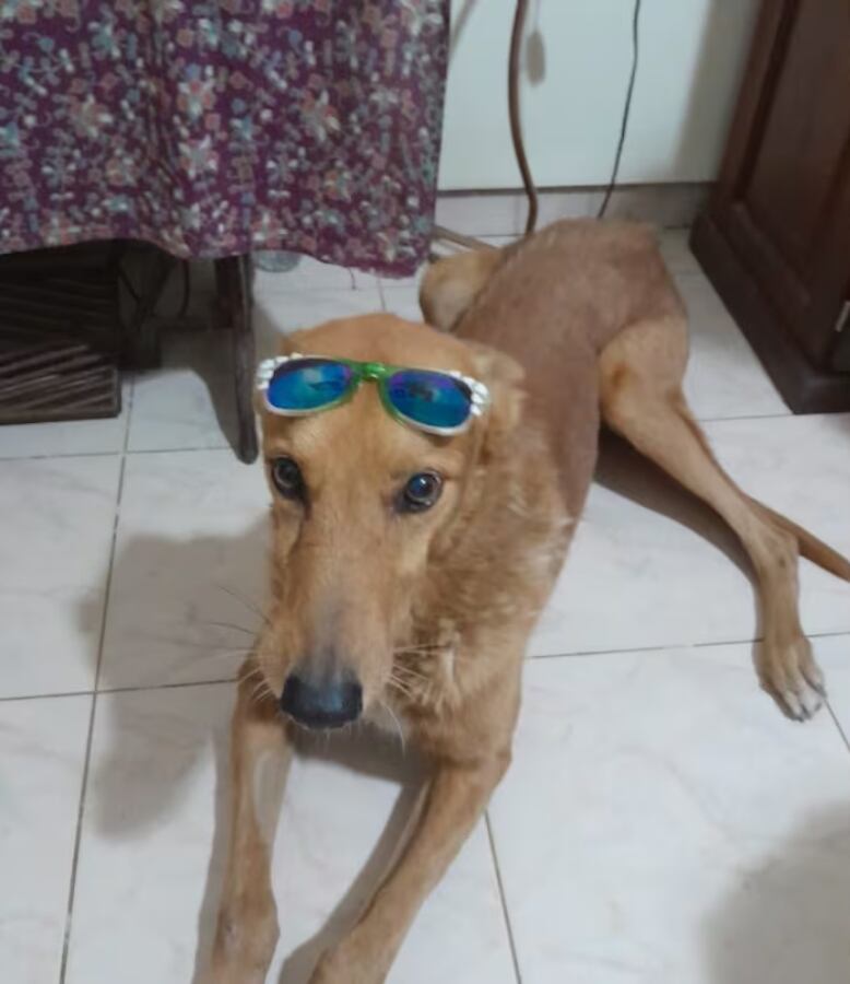 Mateo fue encontrado en un baldío en San Guillermo, Santa Fe.