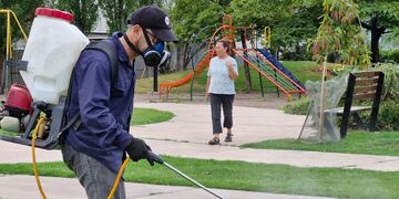La mejor manera de atacar dichas enfermedades es lograr eliminar los criaderos de mosquitos