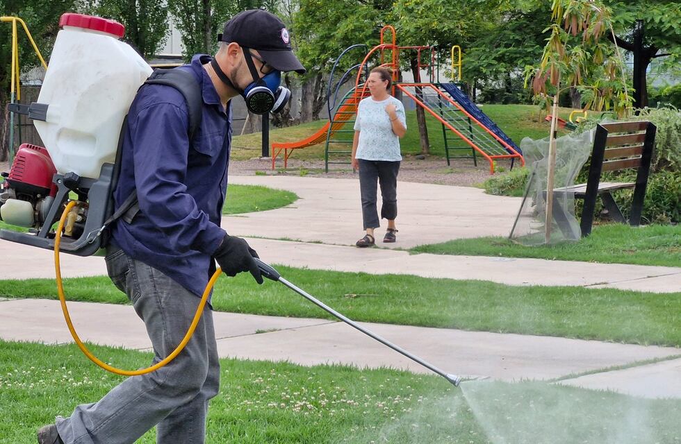 Maipú despliega un amplio operativo contra el dengue