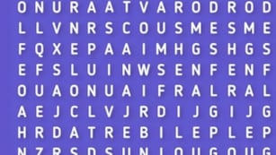 Nivel EXPERTO: el acertijo visual de la palabra NOCHE que muy pocos logran resolver.