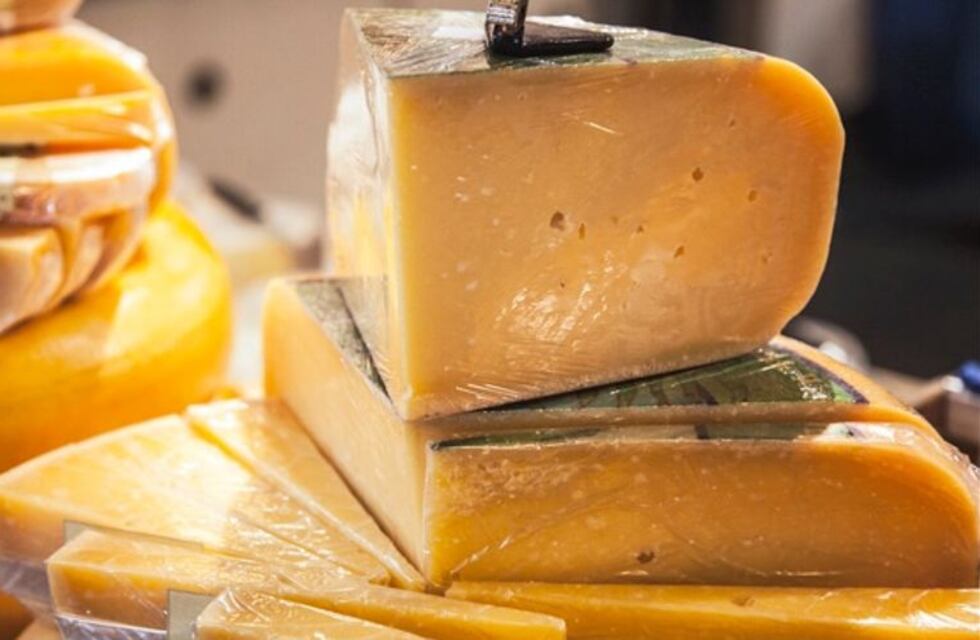 “Un pueblo, un producto” la iniciativa que trajo una comitiva de Japón a conocer la industria del queso de Tandil