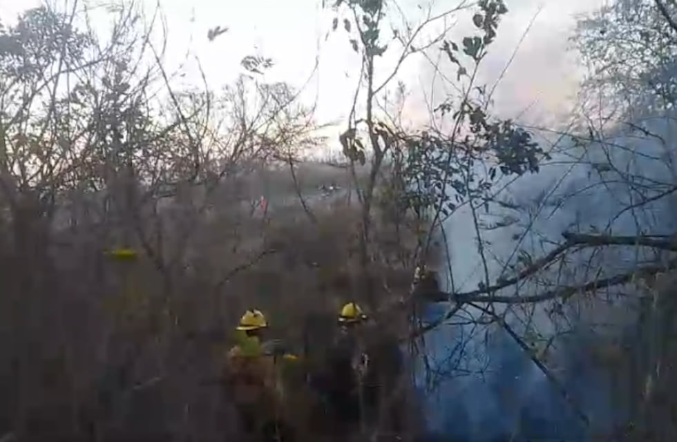 La Brigada Forestal controló un incendio en la Ruta 303