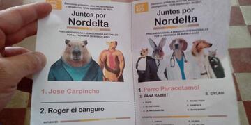 PASO 2021: aparecieron boletas de “Juntos por Nordelta” en una escuela de Bahía Blanca en referencia a los carpinchos de la zona