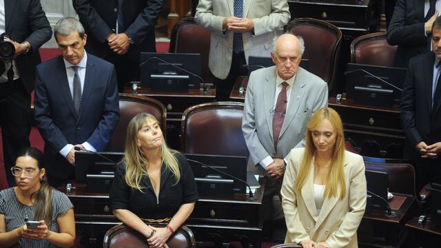 La senadora Juliana Di Tullio responsabilizó a Juntos por el Cambio por la situación en Rosario. Foto: Federico López Claro.