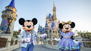 'Walt Disney World Resort' en Florida cuenta con cuatro parques temáticos, dos parques acuáticos y más de dos docenas de hoteles