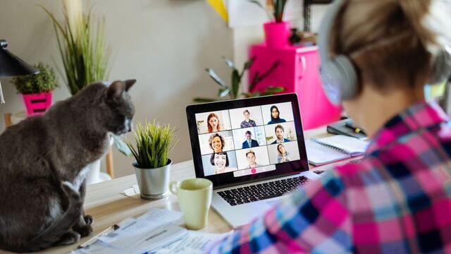 Cómo aplicar a un trabajo remoto con un sueldo de 66.000 dólares.