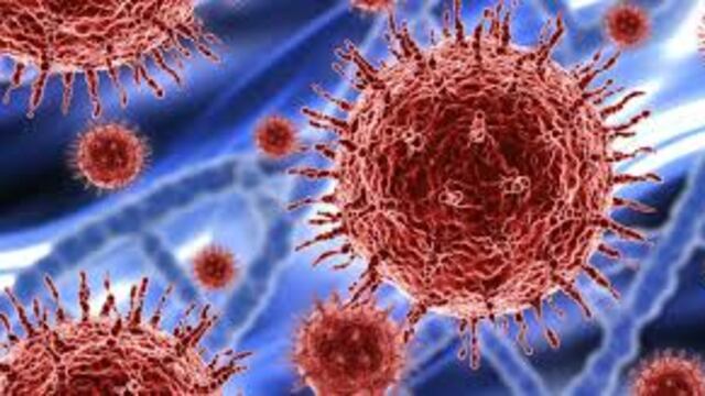 Hoy en Mendoza hubo 70 nuevos casos y se recuperaron 172 pacientes. Gentileza