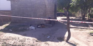 Un hombre fue encontrado sin vida en su vivienda. Presentaba un severo golpe en la cabeza.