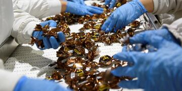 Arcor empresa fabricante de alimentos