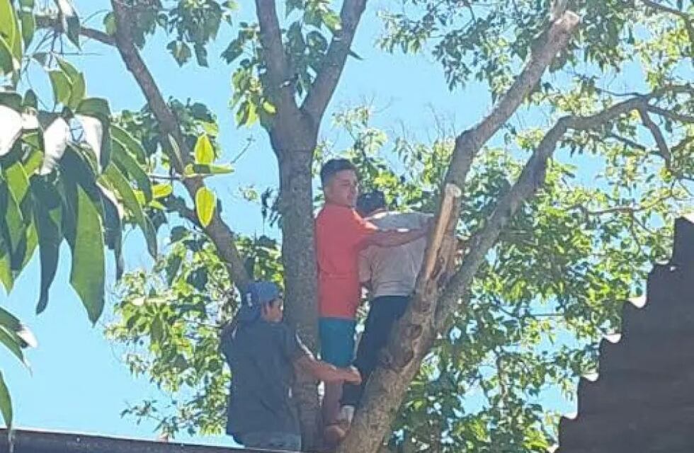 Un hombre se desmayó mientras podaba un árbol en Iguazú y tuvo que ser rescatado por bomberos