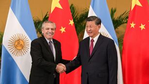 Alberto Fernández y su par chino Xi Jinping, cuyo país ya era miembro de los BRICS. (Archivo Presidencia)