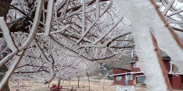 Helada en Los Gigantes (Gentileza Carlos Paz Vivo).