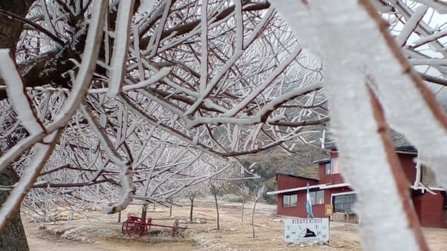 Helada en Los Gigantes (Gentileza Carlos Paz Vivo).