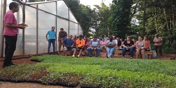 Hicieron entrega de plantines hortícolas en Eldorado.