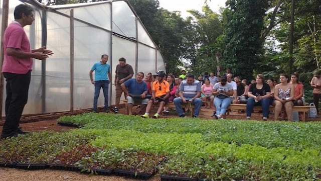 Hicieron entrega de plantines hortícolas en Eldorado.