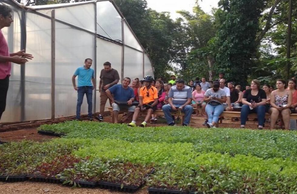 Hicieron entrega de plantines hortícolas en Eldorado