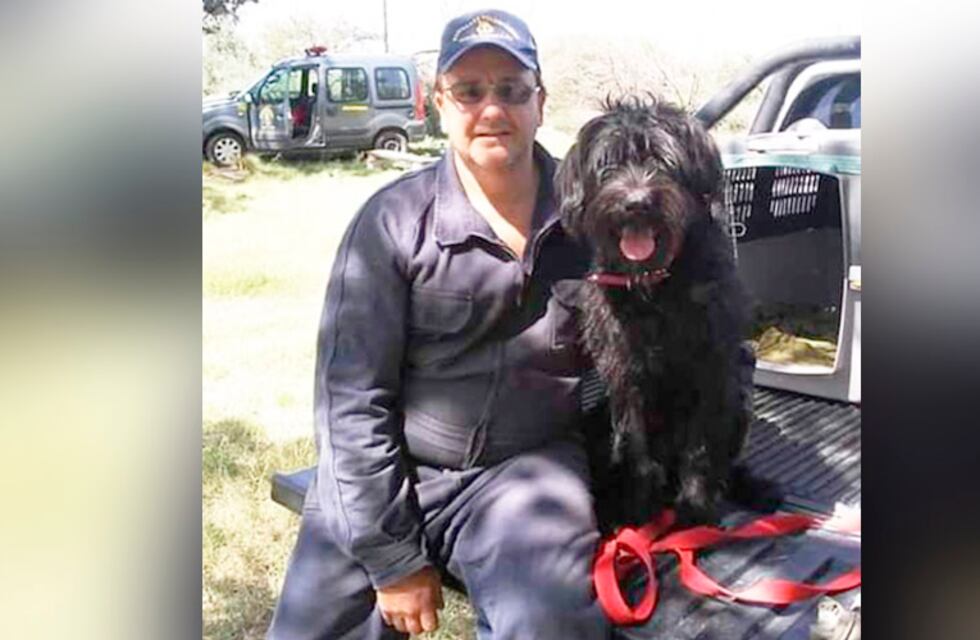 Bomberos pampeanos con perros adiestrados participan de la búsqueda de un joven en Chaco