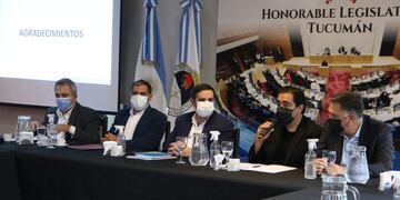 Luis Medina Ruiz expuso sobre la situación sanitaria en la Legislatura.