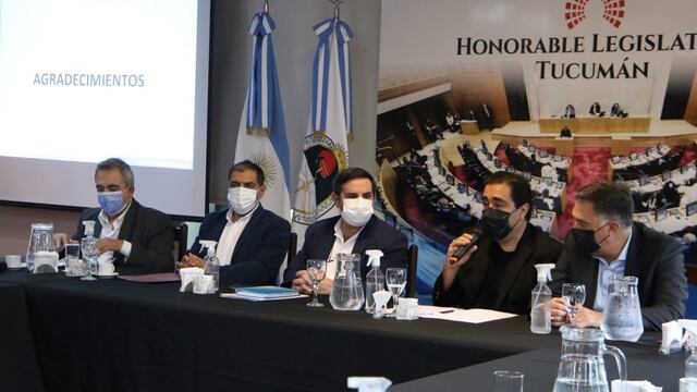Luis Medina Ruiz expuso sobre la situación sanitaria en la Legislatura.