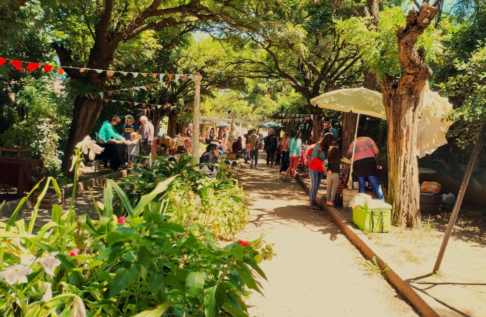 Entrada gratis, buffet gastronómico y música en vivo: la fiesta de una feria agroecológica de Córdoba