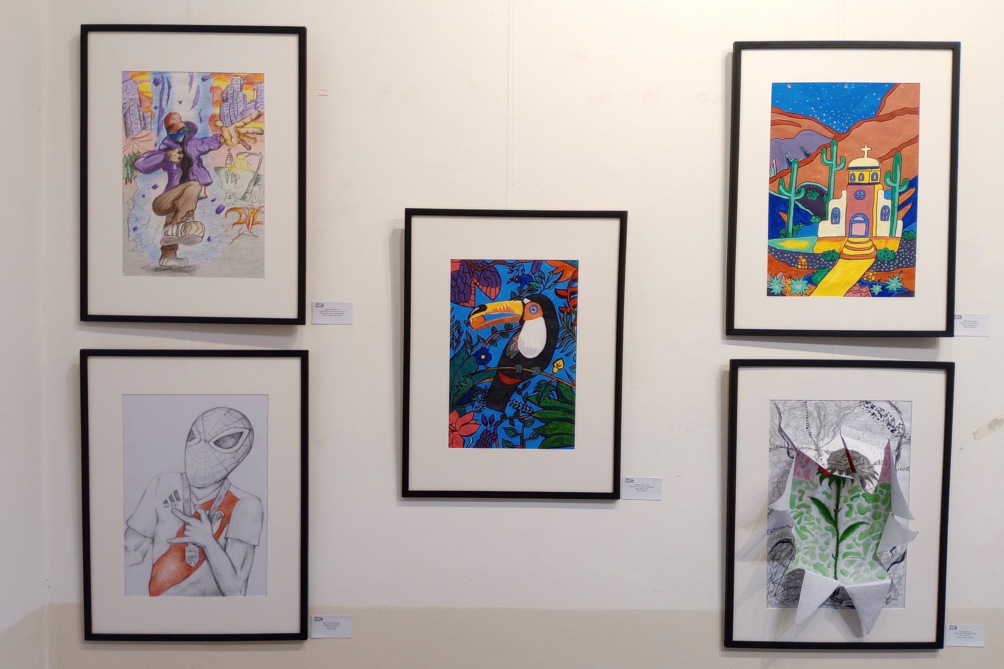 El concurso convoca en la disciplina pintura y los niños se expresan utilizando diversos materiales y técnicas: óleo, témpera, acrílico, acuarela, lápices de colores, collage y combinaciones.