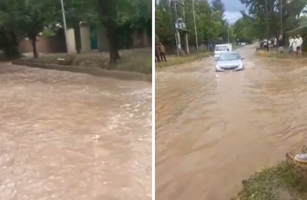Calles inundadas, caída de granizo y árboles derrumbados: la tormenta se hizo sentir en Mendoza