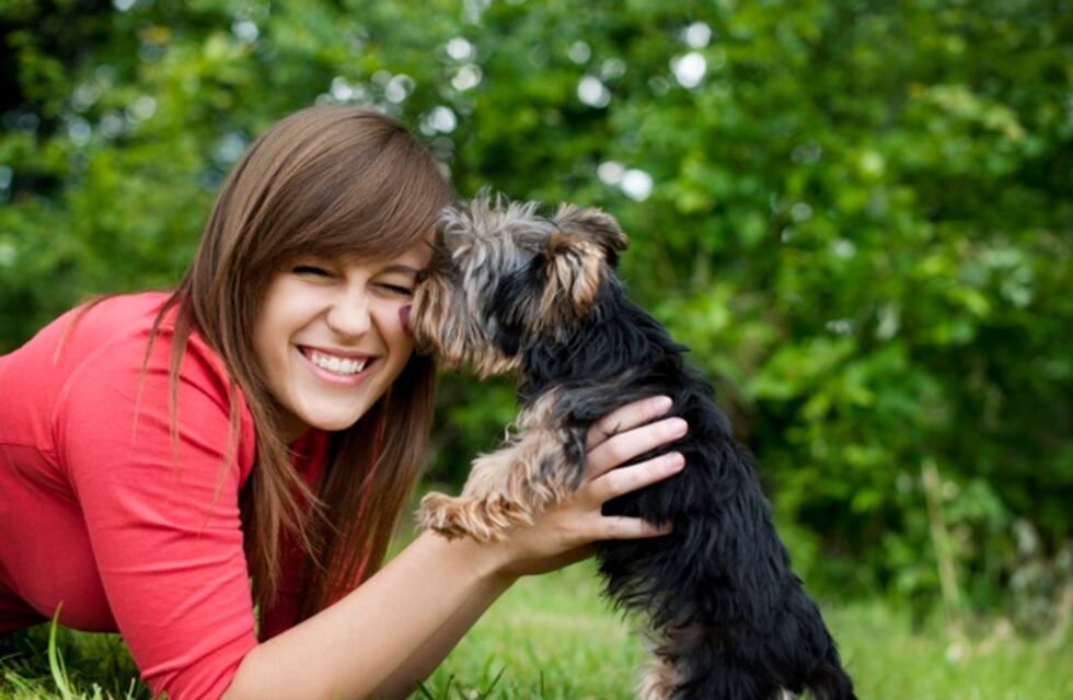 Una pareja le hizo una prueba de lealtad a un perro y el video se volvió viral
