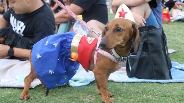 Salchi Encuentro en San Juan